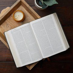 NABRE, New American Bible, Revised Edition, Catholic Bible, Large Print Edition,