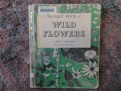 The First Book of Wild Flowers (1961) by Betty Cavanna Pictures Page Cary HC