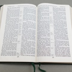 Rare Kenneth Hagin Ministries Rhema KJV Study Bible Calfskin Green by Cambridge