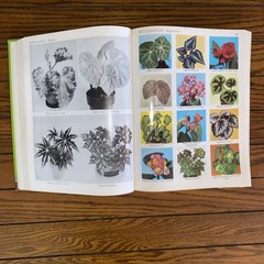 Exotica Pictorial Cyclopedia of Exotic Plants, Series 3, 6th Edition A.B. Graf
