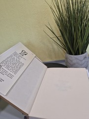 Where the Sidewalk Ends by Shel Silverstein – 1974 Hardcover – Light In Attic