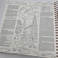 NLT Bible DaySpring Inspire Illustrating Bible With Filament App Spiral Bound