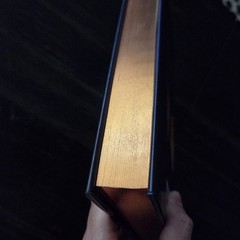 Metal Slinger Rachel Schneider 1st Edition HC Sprayed Edges Fire & Metal Fantasy