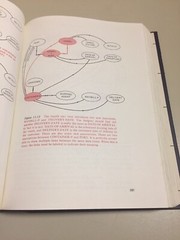 Vintage 1977 Computer Data-base Organization Martin