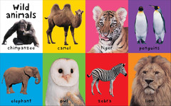 First 100 Animals: a Padded Book―Perfect for Little Hands to Hold