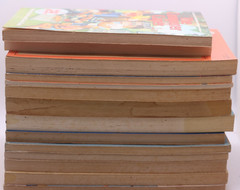 Lot of 14 Young Readers Books – Apple Fiction, Dell and More