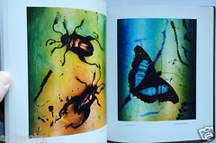 2008 THEATER of INSECTS Jo Whaley hb/128pp/ART – BUTTERFLIES – INSECTS – UNIQUE