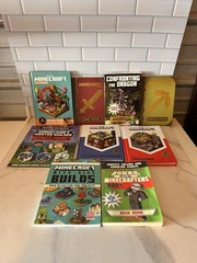Lot Of 9 Minecraft Books Mixed
