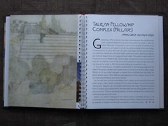 FRANK LLOYD WRIGHT 32 Pages of Gatefold Pull-Outs with 16 Full Color Renderings