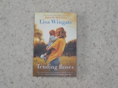 LISA WINGATE 3 Trade Paperbacks