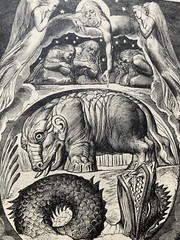 WILLIAM BLAKE THE BOOK OF JOB 22 ENGRAVINGS LETTERPRESS 1927 ART RELIGION BIBLE