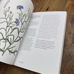 Herbal Handbook Recipes Tinctures Teas Balms And More New York Botanical Garden