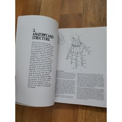Drawing Dynamic Hands & Dynamic Figure Drawing Set Of 2 Books By Burne Hogarth