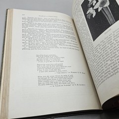Handbook Of Nature-Study By Anna Comstock 1911 Published 1923