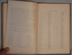 Caton Scientific Shorthand Book VTG Stenography 1922 Scientific Publishing