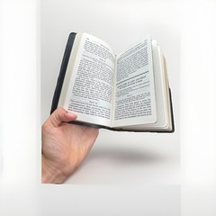 Practical Meditations for Every Day in the Year Life of Our Lord By Jesuits