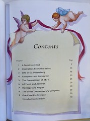 World of Composers Tchaikovsky Greta Cencetti Hardcover Children Book Graphics