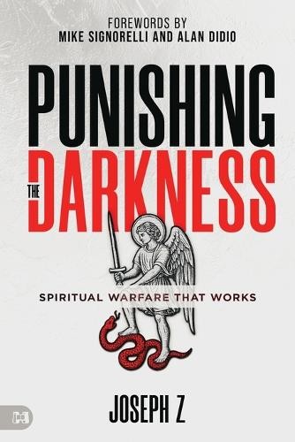 Joseph Z Punishing the Darkness (Paperback)