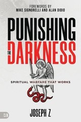 Joseph Z Punishing the Darkness (Paperback)