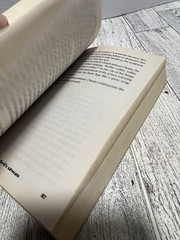 Gherbod Fleming – Trilogy Of The Blood Curse.