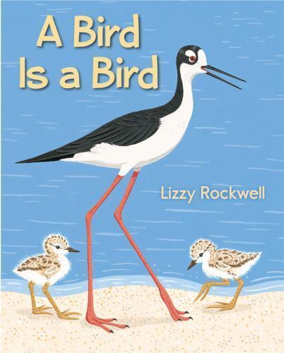 A Bird Is a Bird by Rockwell, Lizzy