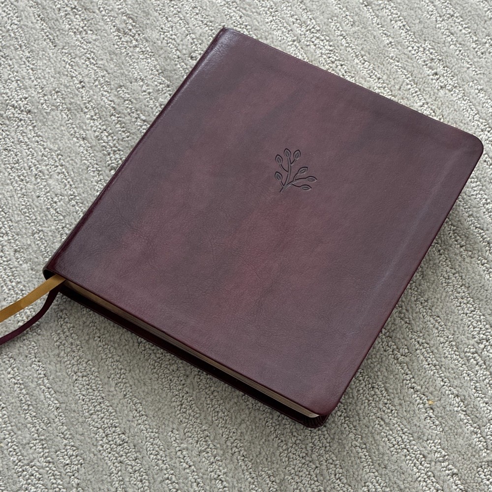 Zondervan Amplified Holy Bible XL Edition, Leather, English
