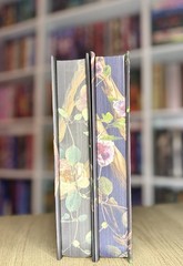 New Shield of Sparrows Rites of the Starling 1st Edition Deluxe Sprayed Edges