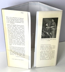 Letters of Sigmund Freud, Ernest L Freud, ed. 1960 HCDJ 1st ed 1st print w Mylar