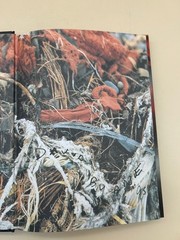 Strange Ritual David Byrne 1997 Signed First Printing Photography Art Book