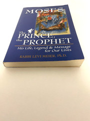 MOSES Prince Prophet Biblical Hero Bible Study (Leaving Our Own Personal Egypt)