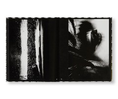 A RETROSPECTIVE by Daido Moriyama 288 pages PRESTEL PUBLISHING 2023 From Japan