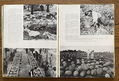 Empire Georgia Today in Pictures and Paragraphs 1936 First Edition HC