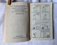 Lot of 3 Vintage Peanuts Books