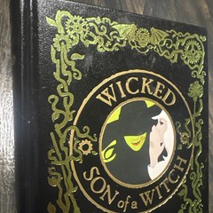 Wicked & Son of A Witch Bonded Leather Ed Gregory Maguire Wizard oz Fast Shippin