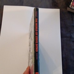 Strange and Stranger: The World of Steve Ditko Blake Bell Hardcover Book