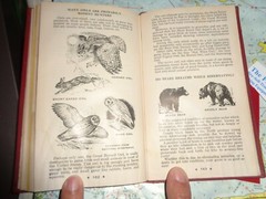 HODGMAN’S HANDY BOOK OF SPORTSMEN’S SECRETS COPYRIGHT 1946 VINTAGE 168 PAGES
