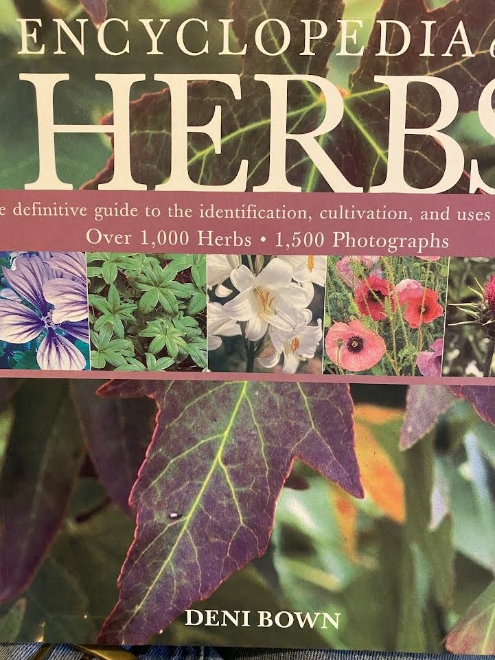 Encyclopedia of Herbs – Deni, Bown – Acceptable – See condition notes