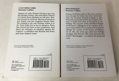Lot of 2 Hunger Games Series Books 2 & 3 (Catching Fire Mockingjay) LARGE PRINT
