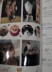 Lily Yuriko Ishida Book with Cat Sticker Good Rare