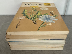 Lot of 6 1950’s/60’s Golden Nature Guide Vintage Children’s Science PB Books MCM