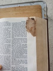 Salem Kirban Reference Bible King James Version AMG 4th Printing 1985 ACCEPTABLE