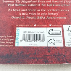 The Spider Leo Carew Under Northern Sky 2 Grimdark Epic Fantasy Sci Fi Book