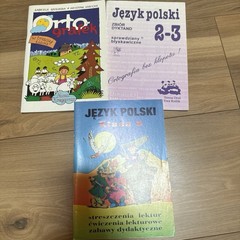 Język Polski Ortografia I Gramatyka Dla Dzieci 17 Książek Klasa 1-5 Polish books