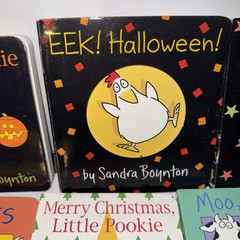 Lot 12 Baby Board Books by SANDRA BOYNTON Like New
