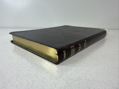 Holy Bible Tyndale Slimline Reference Edition ~ 2004 Bonded Leather Burgundy NLT