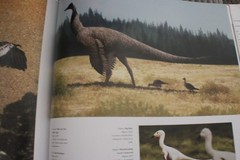Dinosaur art I & II World’s greatest paleoart by Steve White