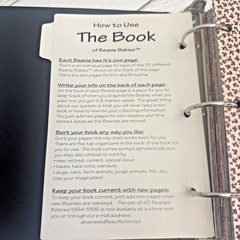 ’THE BOOK of Ty BEANIE BABIES’ by LYNN & LEE DRALLE to CATALOG COLLECTIONS