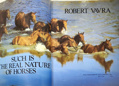 Such Is The Real Nature of Horses by Robert Vavra 1979 HC 340 Color Photos