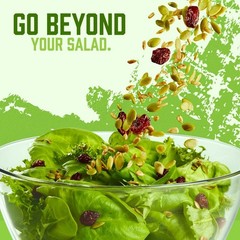 Crunchy Salad Toppers Mix with Seeds & Cranberries – Gluten Free, 16 Oz (Pack of