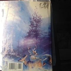Stephen King Dreamcatcher 620 Pages